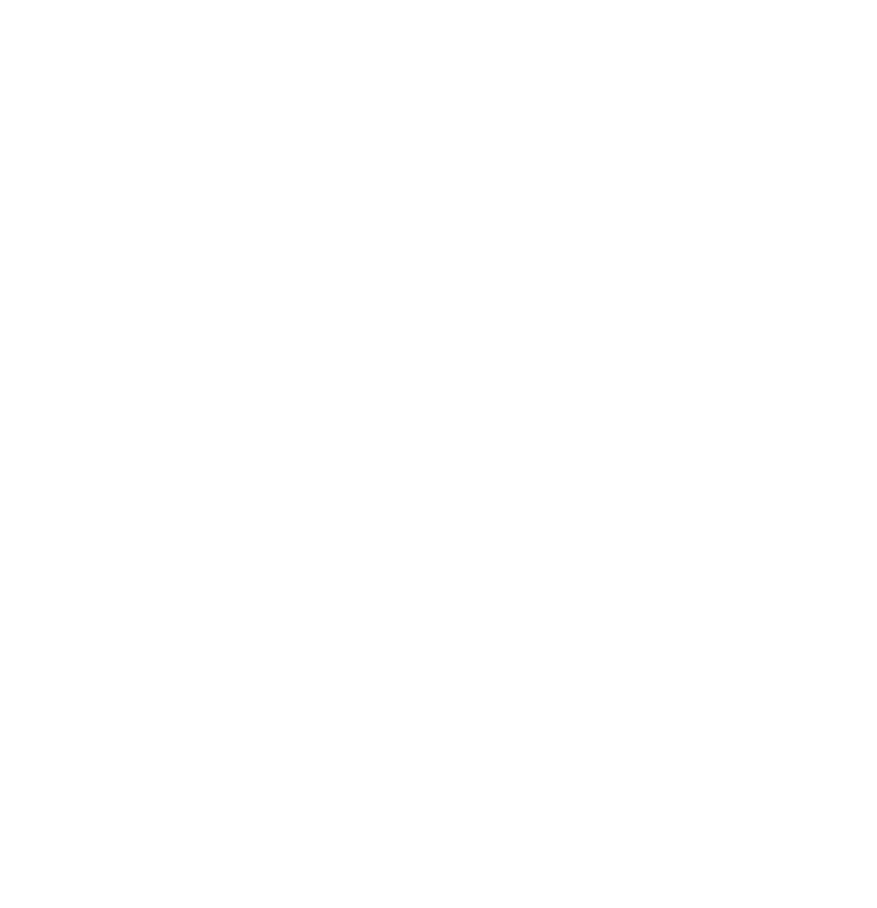 Shanikas logo